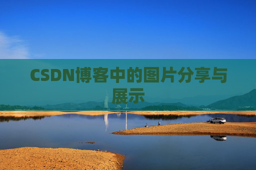 CSDN博客中的图片分享与展示